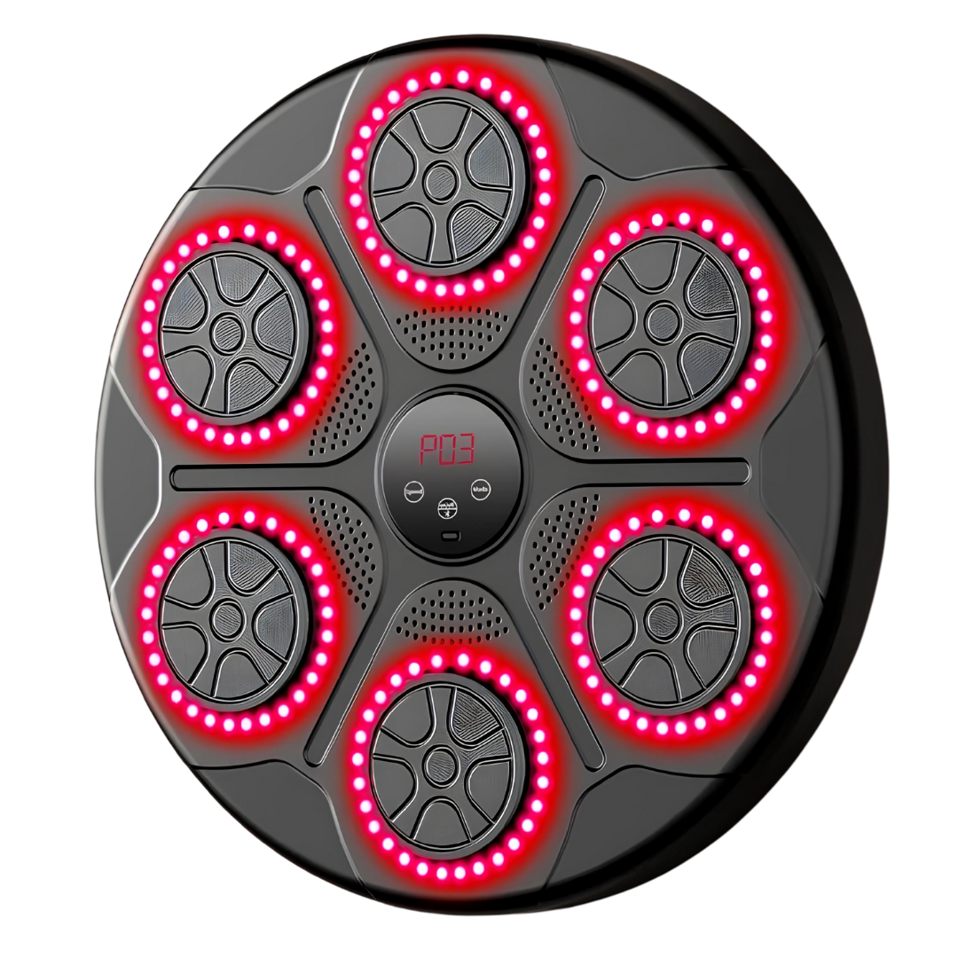 Music Boxing Machine Bluetooth Professionell + Handschuhe Geschenkt