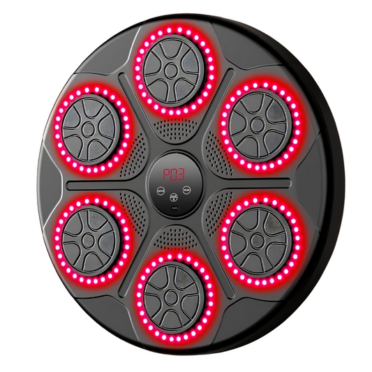 Music Boxing Machine Bluetooth Professionell + Handschuhe Geschenkt