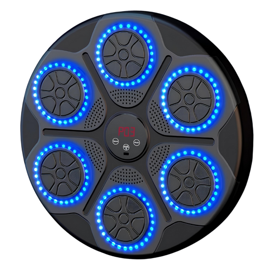 Music Boxing Machine Bluetooth Professionell + Handschuhe Geschenkt